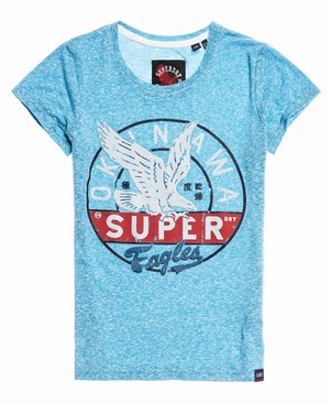 Superdry Gasoline Női Pólók Kék/Fehér | CIOUG8693